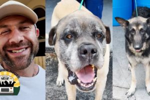 Rescuing two incredible seniors from the crowded shelters | The Asher House