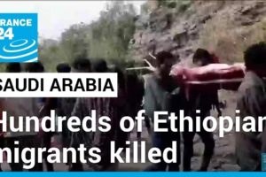 Rights group says Saudi Arabian border guards killed hundreds of Ethiopian migrants • FRANCE 24