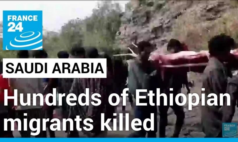 Rights group says Saudi Arabian border guards killed hundreds of Ethiopian migrants • FRANCE 24