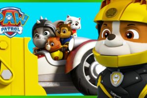 Rubble Animal Rescues and MORE! | PAW Patrol | Cartoons for Kids Compilation