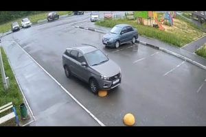 SHE THOUGHT IT'S A BALL - IDIOT DRIVERS 🤣