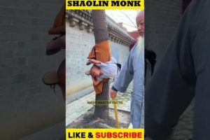 Shaolin Monk इतने Strong कैसे होते है _  How To Become a Shaolin Monk #facts #ytshorts #shorts