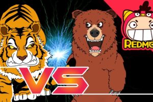 Siberian Tiger vs Brown Bear | Animal battle | zoo | for Toddlers | funny video | REDMON