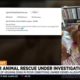Social media outcry sparks investigation into Chandler animal rescue