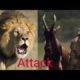 TOP WILDLIFE FAILURE ATTACK MOMENT - Amazing Moments Of Wild Animal Fight - MT ANIMALS ZONE