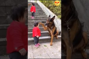 The Cutest Babysitter Ever! 🐶👶💞#cutebaby #dog