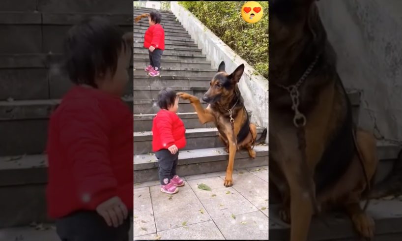 The Cutest Babysitter Ever! 🐶👶💞#cutebaby #dog