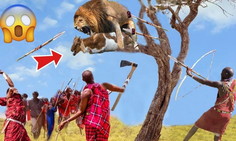 The Maasai Warriors' Unyielding Battle Against Jaguars | Intense Animal Fights