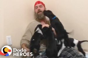 This Guy's Rescued Thousands Of Animals From Disasters | The Dodo Heroes