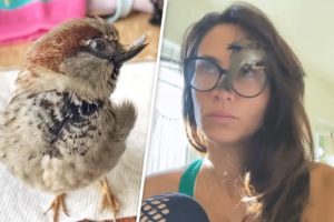 This rescued sparrow is convinced he's a dog