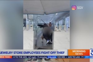 Video: employees fight back against robbery suspect who sprayed them with bear repellent 