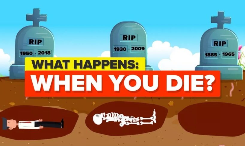 What Happens When You Die? And More Death Facts And Explanations (Compilation)
