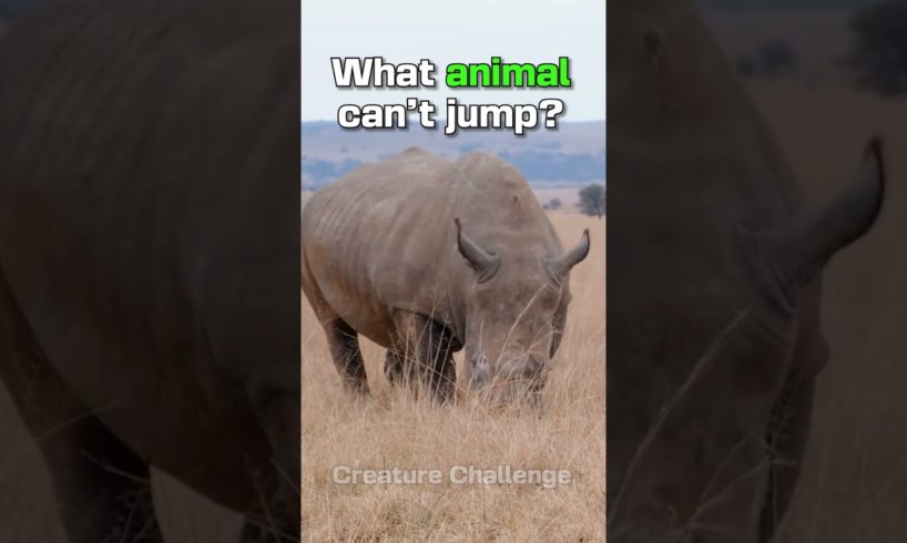 Which Animals Cannot Jump? #shorts #animals #animal