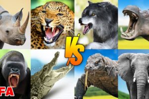 Wild Animal Tournament Arena Battle Royale | SPORE