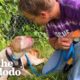 Woman Saves Pittie Abandoned On The Highway | The Dodo