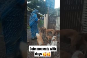 cute puppies and  dogs eating food🥰🥰❤️❤️| #doglover #dog #cutepuppy #trending #doglovers #puppylove