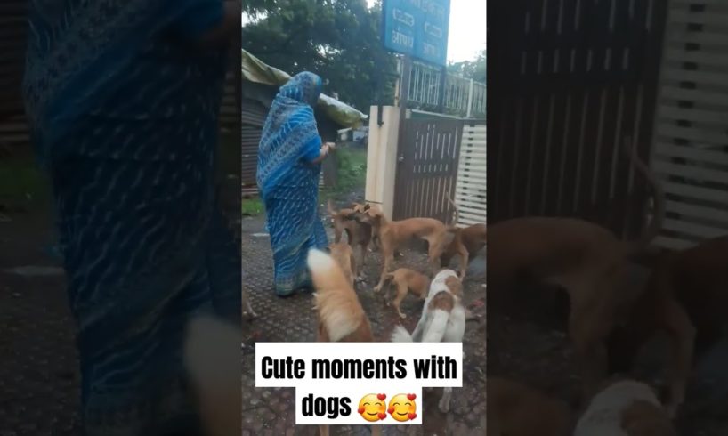 cute puppies and  dogs eating food🥰🥰❤️❤️| #doglover #dog #cutepuppy #trending #doglovers #puppylove