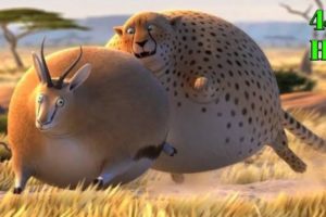 fat animals || if animals were fatty, funny cartoon short film.