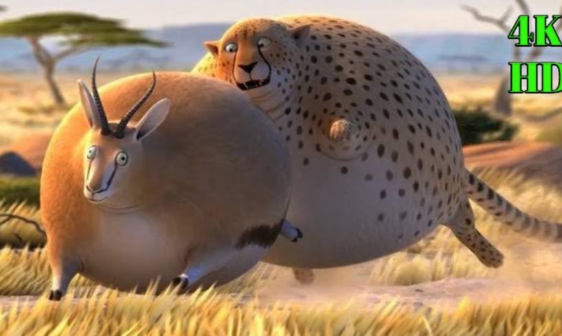 fat animals || if animals were fatty, funny cartoon short film.