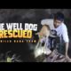 the well Dog Stuck Rescued 🥺ll By Mr Billu Dada 300 #dog #doglover #rescue #rescuedog
