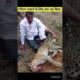 अपने परिवार बचाने के लिए तेंदुए से लग गया 😱 | leopard attack human 😱 | #ytshorts #shorts #animals