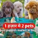 1 हजार मे 2 pets with phone number || All breeds Cheapest puppies and pets market