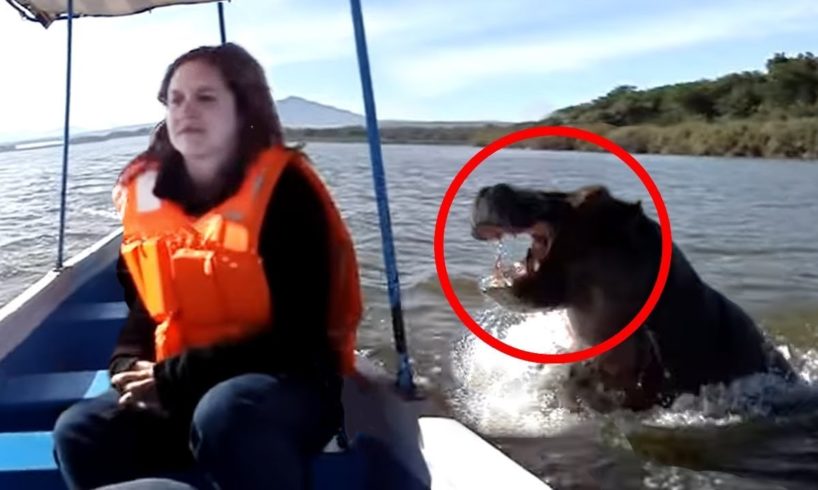 12 Animal Encounters That Went Horribly Wrong