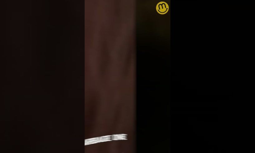 Fails of The Week #short #fails #funny