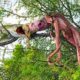 30 Moments Python Swallows Prey On A Tree Branch, What Happens Next? | Animal - Fights