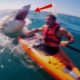 6 Shark Encounters You Will Never Forget!