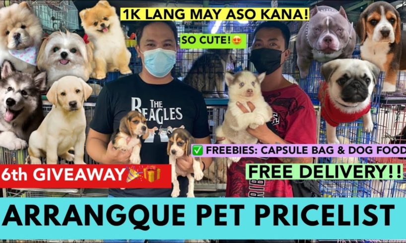 ARRANGQUE PUPPY GIVEAWAY! | PET PRICELIST | 1K LANG MAY ASO KANA | CUTE PUPPIES **MUST WATCH**