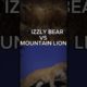 Animal fights 1: Grizzly Bear VS Mountain Lion