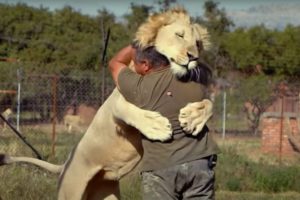 Animals Reunited With Owners AFTER YEARS!