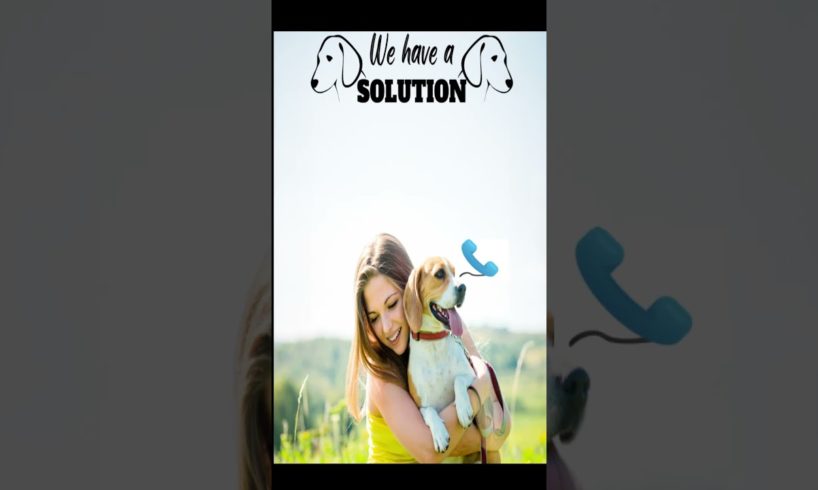 Animals ki help karna kaise start kare| Animal rescue Shelter | Saving Life| Shelter Contact Details