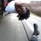 Bodycam: Getaway Driver Drags Cop After Teen Suspect Hops in Back Seat During Foot Chase