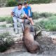 Brave men rescues buck from deep well