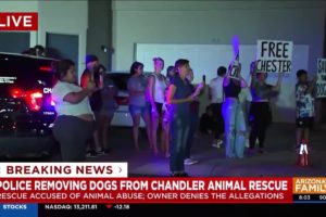 Chandler PD removes alleged abused dogs from a animal rescue