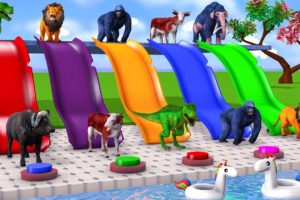 Choose The Right Button Slider Wild Animals Pool Game Cow Dinosaur Elephant Gorilla Game Funny Video