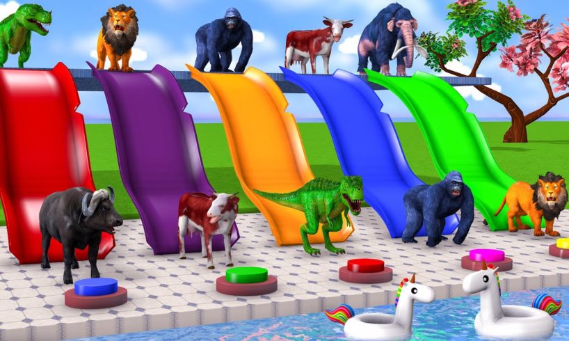 Choose The Right Button Slider Wild Animals Pool Game Cow Dinosaur Elephant Gorilla Game Funny Video