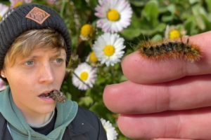 Cute Caterpillar Rescue #shorts