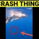 DEATHLY MOMENTS CAPTURED...!!! [VOL 1] | Best Near Death Compilation 2021 | CRASH THINGS