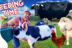 Feeding The Farm Animals with You!  (Educational Farm Video For Kids)