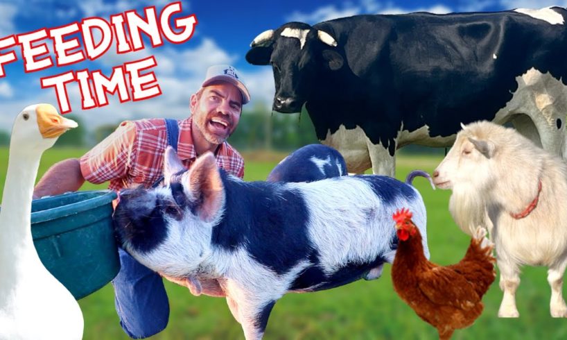 Feeding The Farm Animals with You!  (Educational Farm Video For Kids)