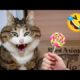 Funniest Cats and dogs🤣🤣 || New Funny animal videos 2023🤣 || #cat#dog#animal#funny#cute