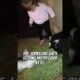 Funny Animals People And Animals Playing  #shorts