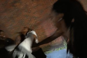 Ghetto Hood fights ( Party Edition)