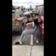 Girl Fights #5 || Her Wig/Weave Quits On Her || Street Fights || Hood Fights ||