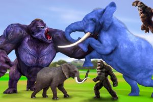 Gorillas vs Elephants in a Battle of Strength Save Cow Cartoon from Gorilla Clash of the Titans