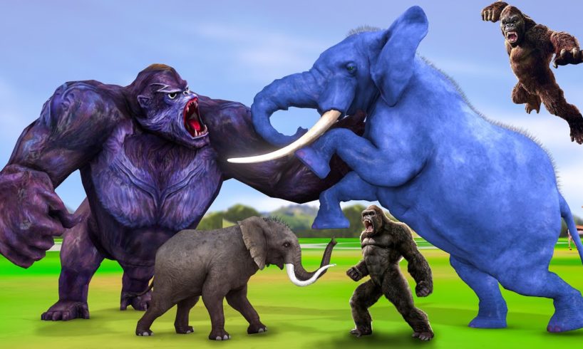 Gorillas vs Elephants in a Battle of Strength Save Cow Cartoon from Gorilla Clash of the Titans