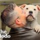 Guy Adopts 'Broken' Dog | The Dodo